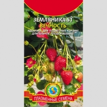 Земляника S1 Вечность