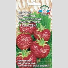 Земляника Сластена F1 крупноплодная ремонтантная