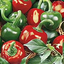 Перец Жгучие колобки