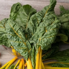 Мангольд Золотой