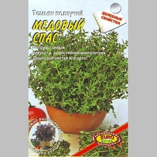 Тимьян Медовый спас (чабрец)