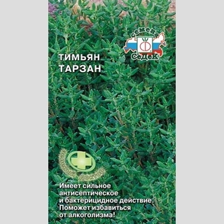 Тимьян Тарзан