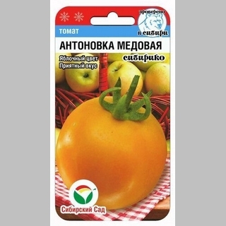 Томат Антоновка медовая
