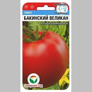 Томат Бакинский великан