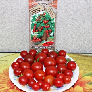 Томат Балконный сахарный