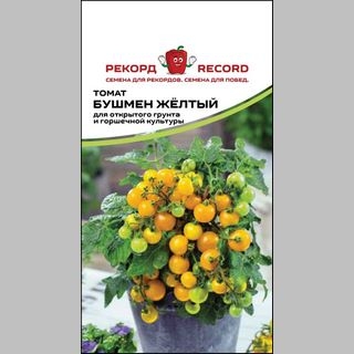 Томат Бушмен желтый