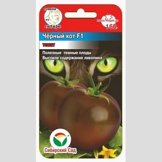 Томат Черный кот F1