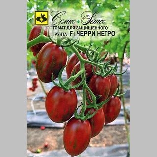 Томат Черри Негро F1