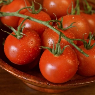 Томат Чудо гроздь  F1