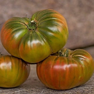 Томат Дикий тимьян