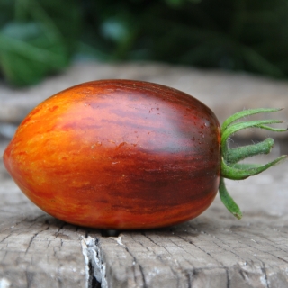 Томат Гаргамель