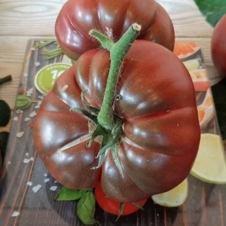 Томат Гигант Кубы чёрный (Cuba Giant Black)