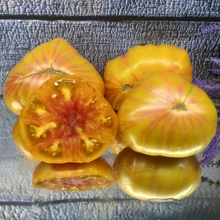 Томат Гном Красота Сьюзи (Dwarf Suz’s Beauty)