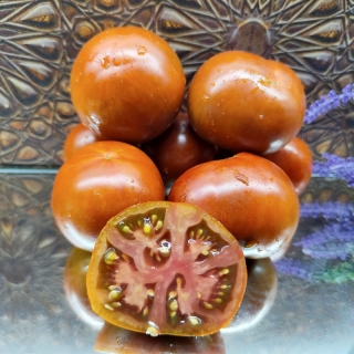 Томат Гном Вишневый Брауни (Dwarf Cherry Brownies)