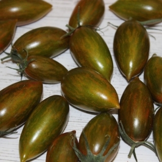 Томат Грин Рипер (трехцветный)