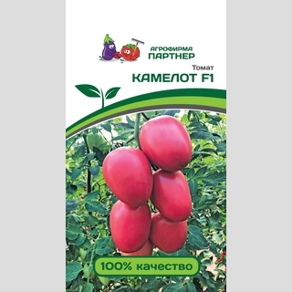 Томат Камелот F1
