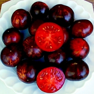 Томат Королева ночи (Queen of the Night)