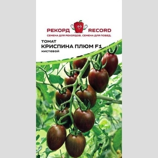 Томат Криспина Плюм F1 (Esasem)