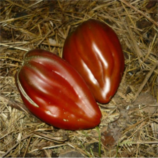 Томат Кубинский черный