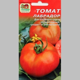 Томат Лабрадор