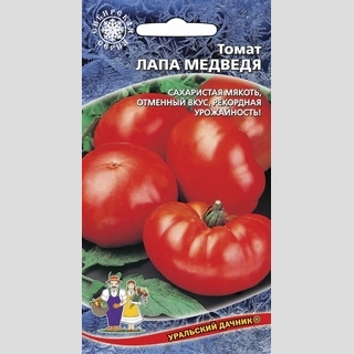 Томат Лапа Медведя