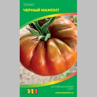 Томат Мамонт чёрный