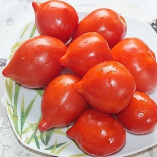 Томат Мимоза