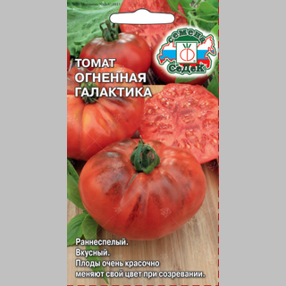 Томат Огненная Галактика