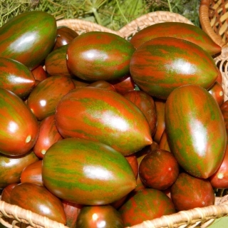 Томат Парадокс F1