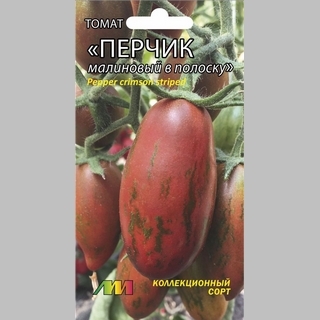 Томат Перчик малиновый в полоску