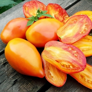 Томат Похвала Марины (Гордость Марины)