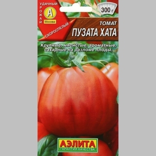 Томат Пузата хата