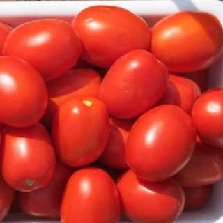 Томат Ред Скай F1