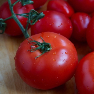 Томат Русские частушки