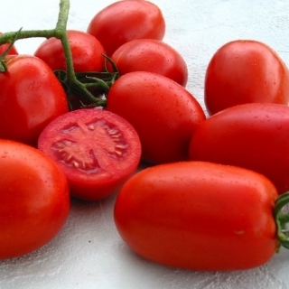 Томат Самкон F1