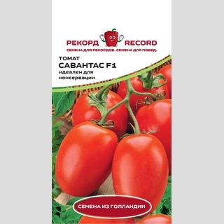 Томат Савантас F1 (Enza Zaden)