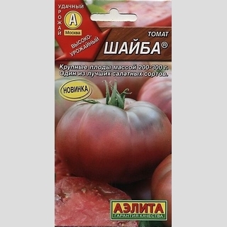 Томат Шайба