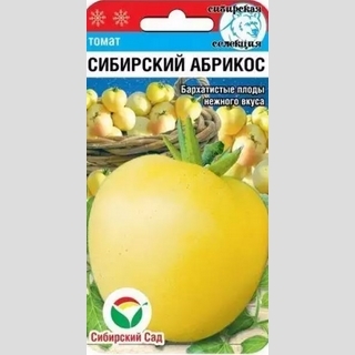 Томат Сибирский абрикос