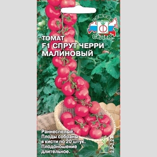 Томат Спрут Черри Малиновый F1