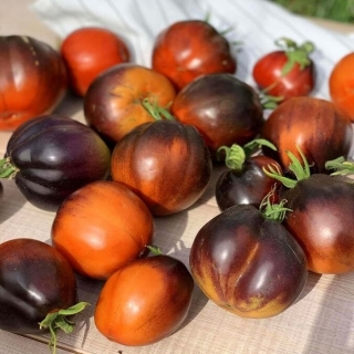 Томат Темный Лорд (Dark Lord)