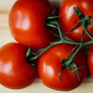 Томат Взрыв
