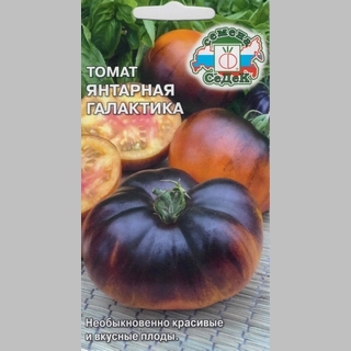 Томат Янтарная Галактика