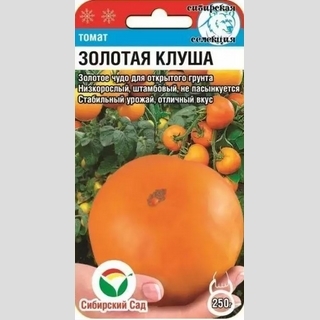 Томат Золотая клуша