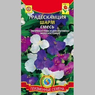 Традесканция Шарм смесь