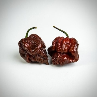Перец Тринидад Моруга Скорпион Шоколадный