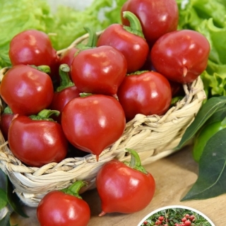 Перец Трюфелек Красный F1 (Вкуснятина)