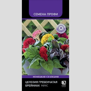 Целозия Брейниак Микс гребенчатая