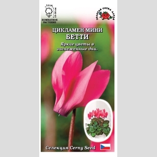 Цикламен Бетти