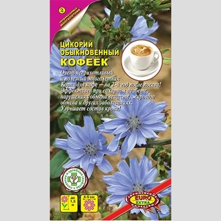Цикорий Кофеёк (обыкновенный)
