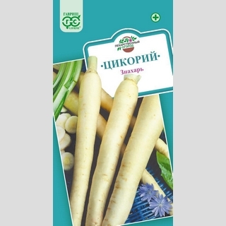 Цикорий Знахарь лекарственный